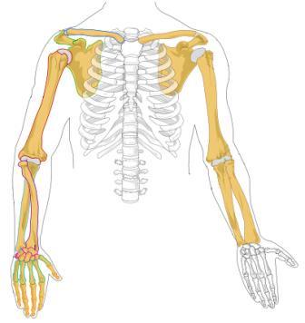 Laser Therapy for Tendonitis